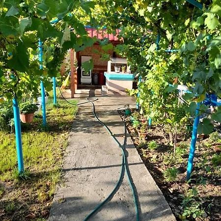 Casa Anhela Otel Corbu  Dış mekan fotoğraf