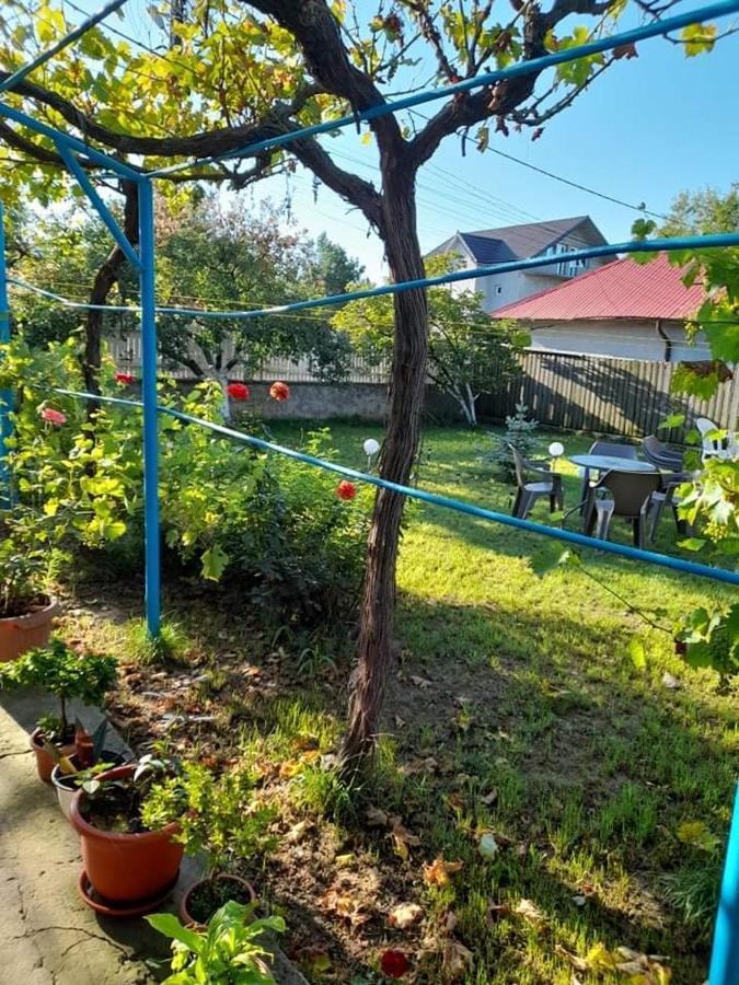 Casa Anhela Otel Corbu  Dış mekan fotoğraf
