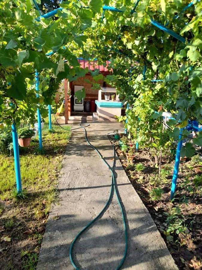 Casa Anhela Otel Corbu  Dış mekan fotoğraf